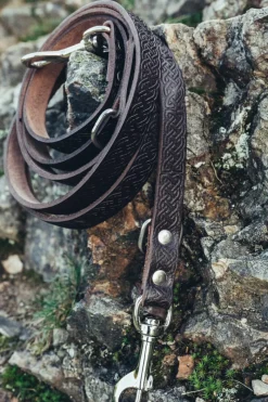 Online Leonardo Carbone Set Hundeleine "Ferris" + Halsband "Maddox" Dunkelbraun