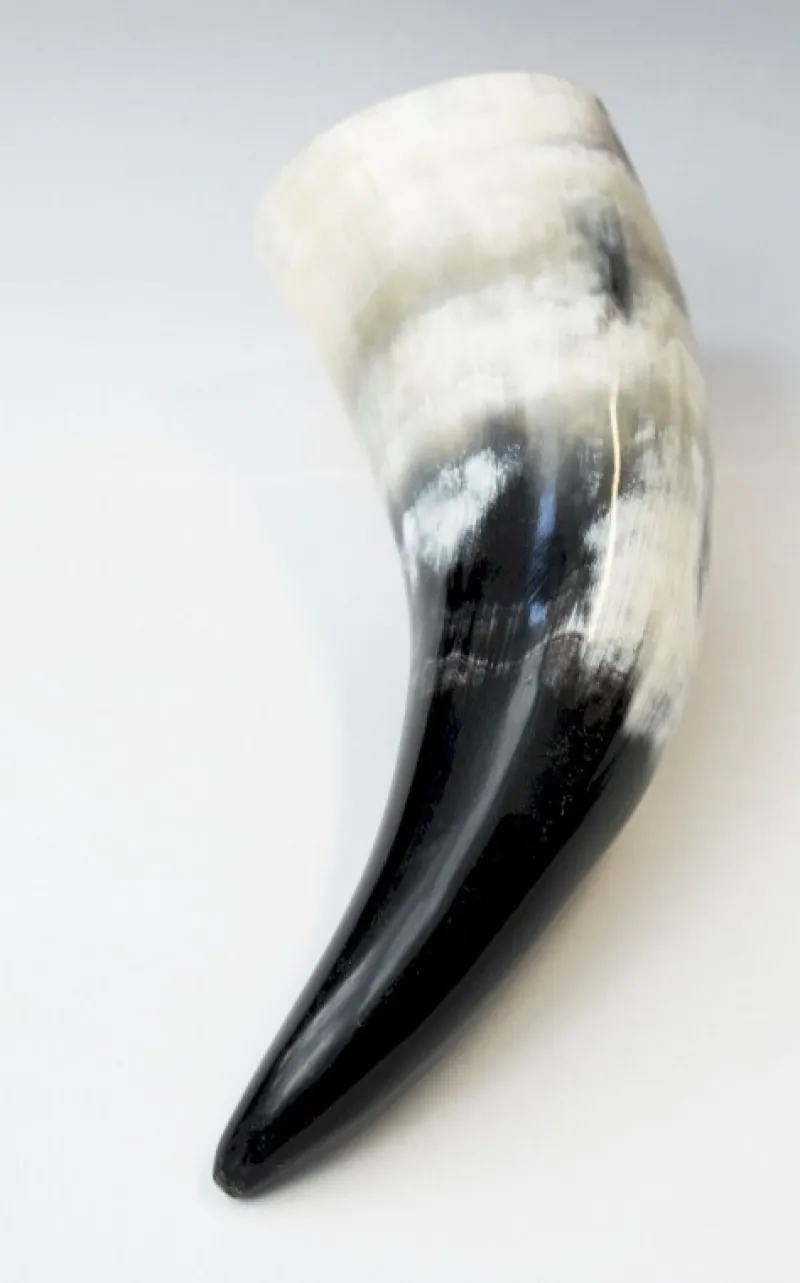 Sale Leonardo Carbone Wikinger Trinkhorn "Odin" - ca. Fassungsvermögen 0,1 Liter