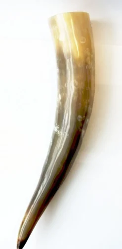Cheap Leonardo Carbone Wikinger Trinkhorn 